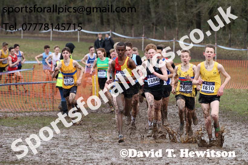 Boys under-15s 2018 British Inter Counties Cross Country Champs., Prestwold Hall, Loughborough. Photo: David T. Hewitson/Sports for All Pics